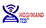 Hooshmand Teb